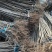 苗圃基地大量批发嫁接樱桃苗红灯美早布鲁克斯齐早