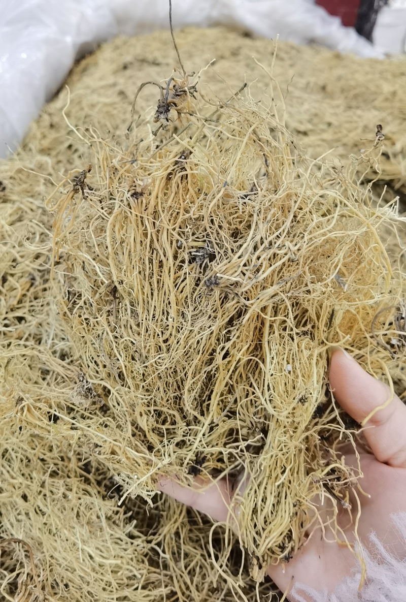 细辛辽细辛一手货源可供实体店批发零售规格齐全量大价
