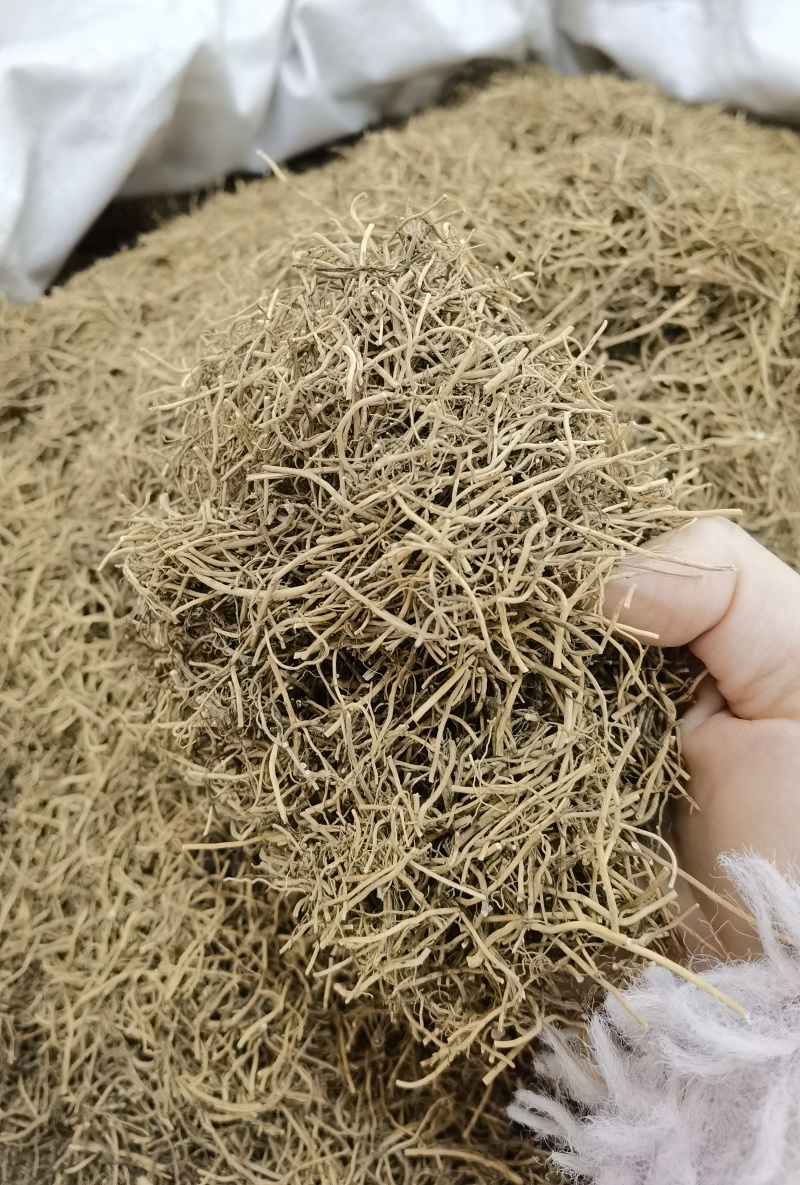 细辛辽细辛一手货源可供实体店批发零售规格齐全量大价