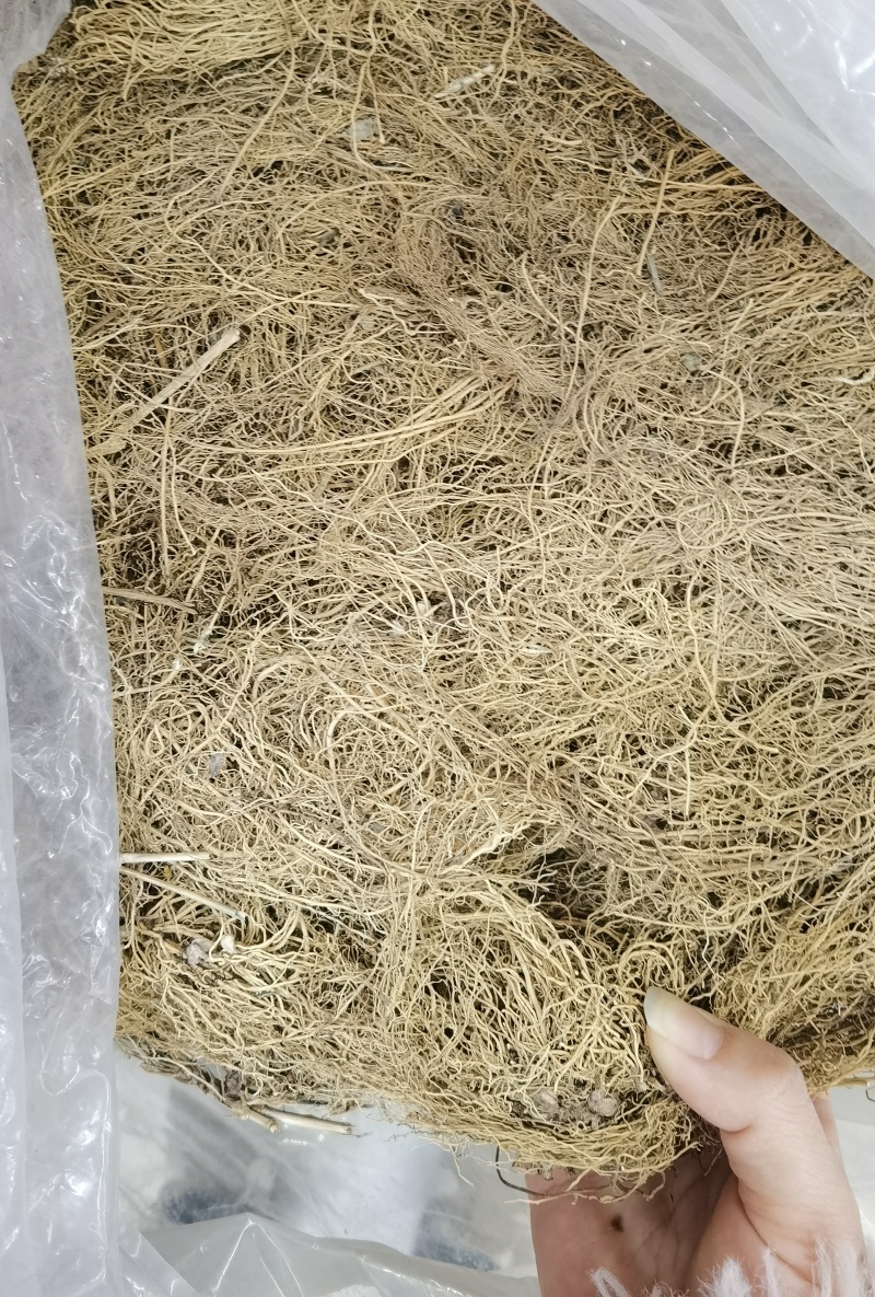 细辛辽细辛一手货源可供实体店批发零售规格齐全量大价