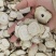 无硫白芷片规格齐全可供实体店批发零售量大价优
