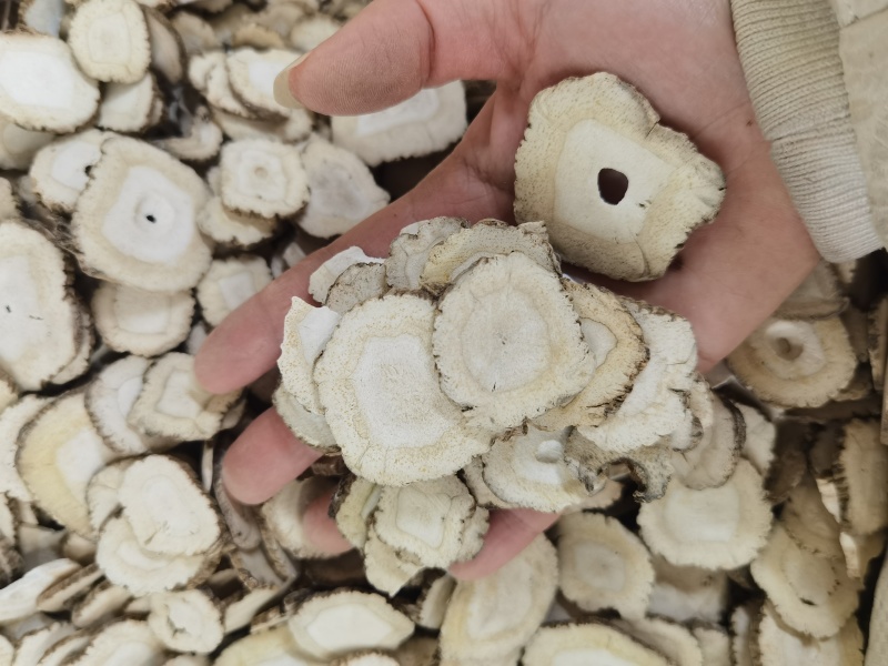 无硫白芷片规格齐全可供实体店批发零售量大价优