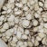 无硫白芷片规格齐全可供实体店批发零售量大价优