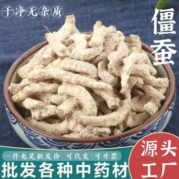 僵蚕批发僵蚕规格齐全量大价优一手货源