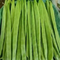 扁青芸豆，超市货，电商货，常年有货产地直发量大从优