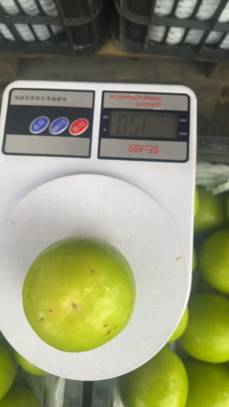 牛奶枣云南苹果枣现货批发。云贵川物流方便带框销售