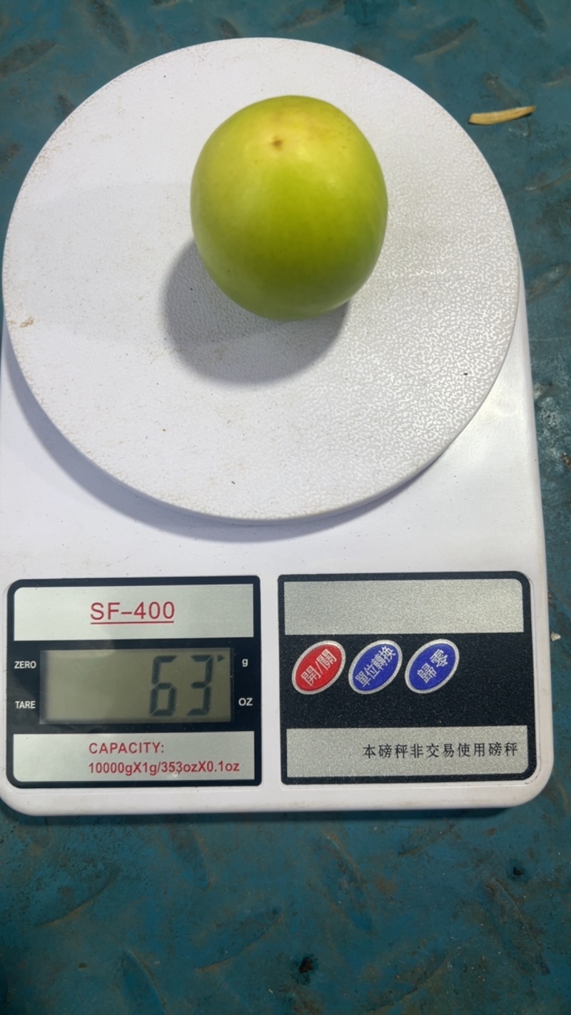 牛奶枣云南苹果枣现货批发。云贵川物流方便带框销售
