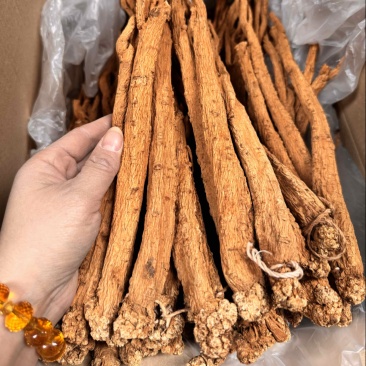 产地直达，云南纹党参