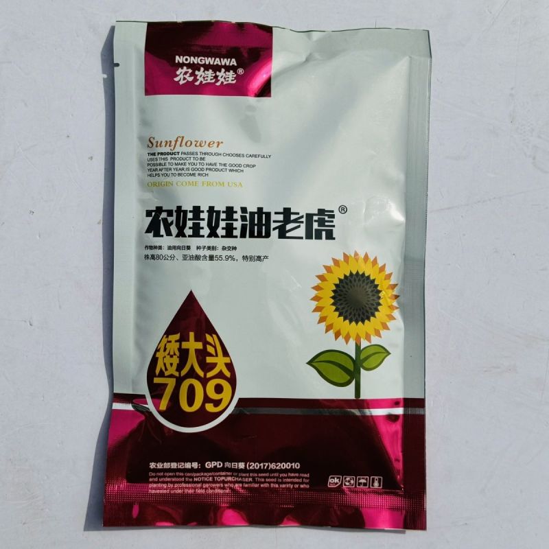 农娃娃油老虎矮大头油葵向日葵种子美国超级矮杆葵花种籽榨油
