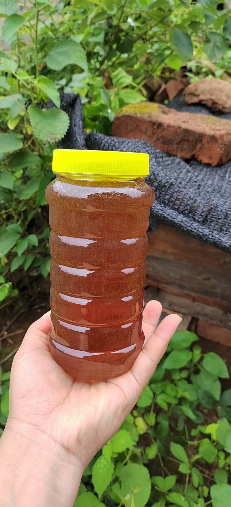 衡东县野生土蜂蜜，自家养殖品质保证，欢迎采购