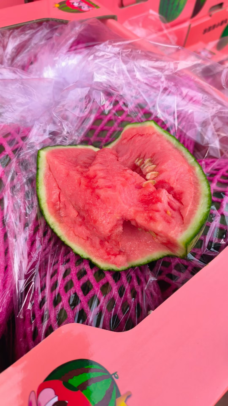 小糖丸手撕西瓜安徽早春红玉西瓜承接商超电商供货代发