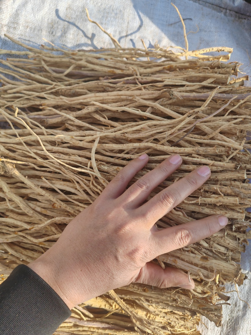 精品.口感微甜.地摊跑江湖.展览会颜色金黄.条形均匀