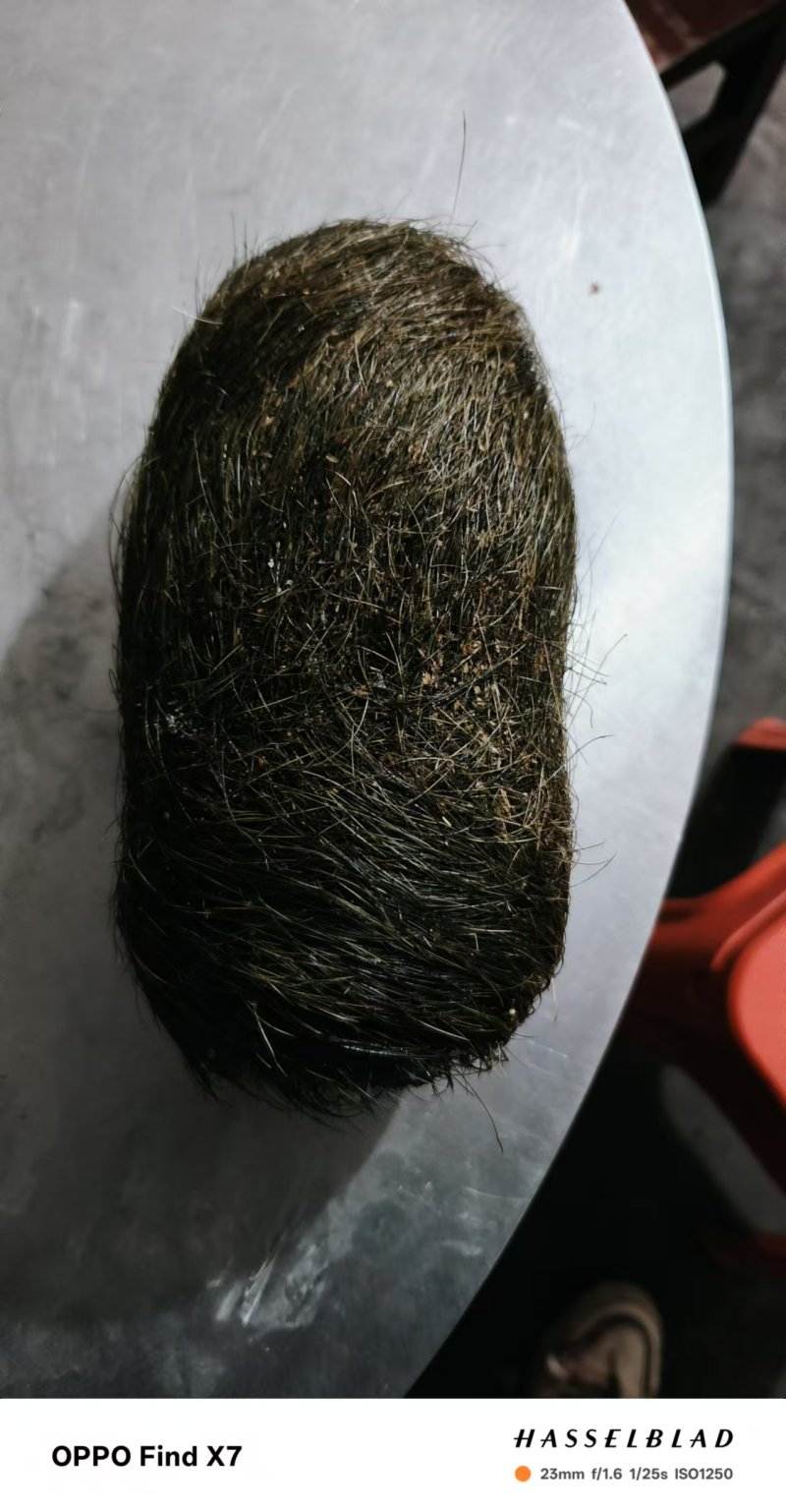 猪宝