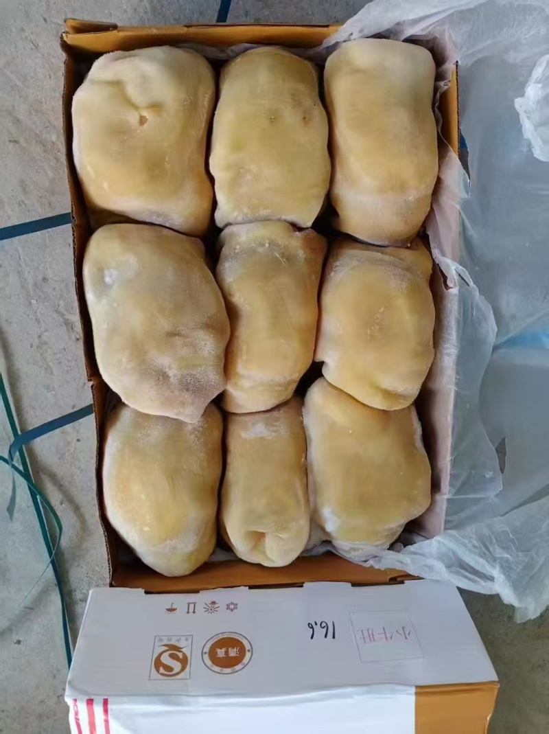 精品小牛肚大量订购高质量好品质欢迎订购