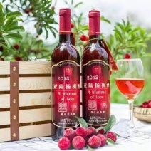 杨梅酒陈酿