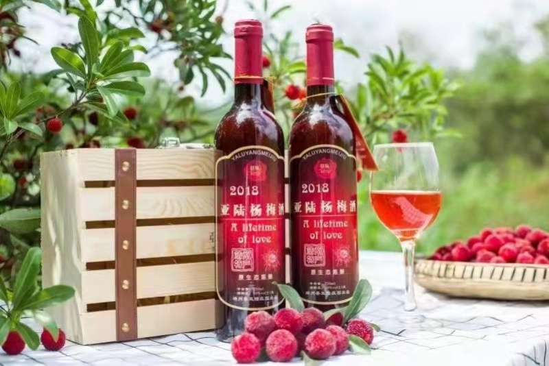 杨梅酒陈酿