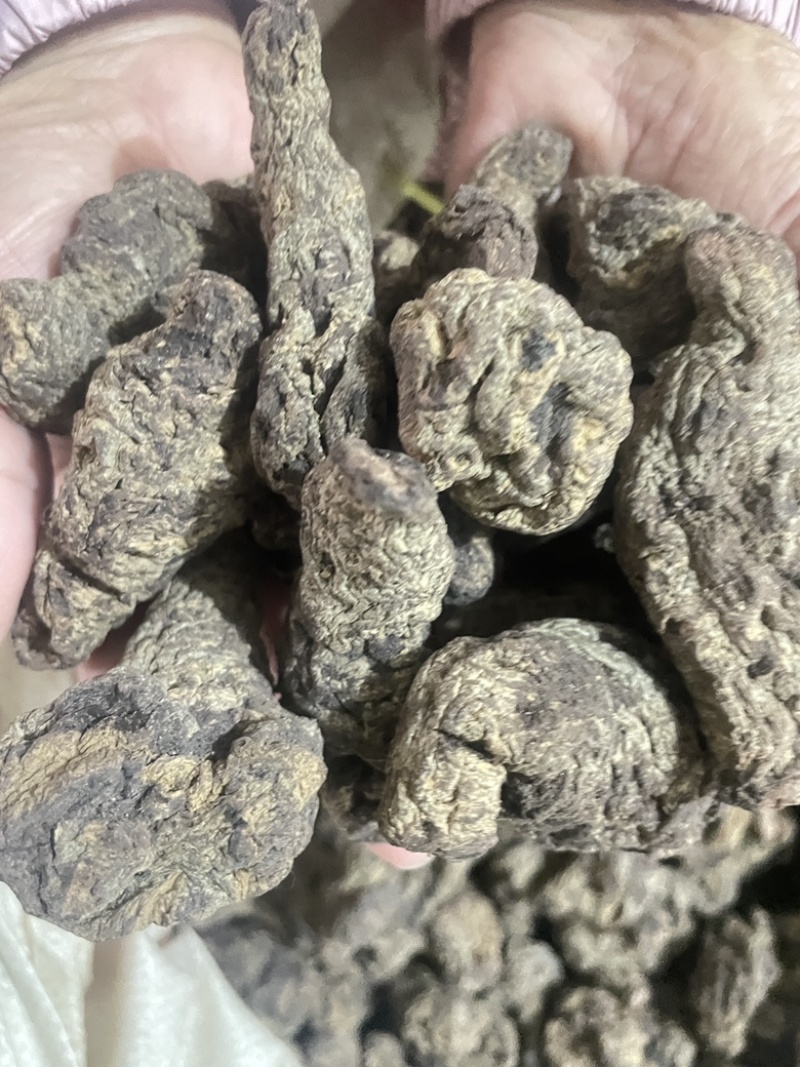 【精品】生地黄可视频看货一手货源量大从优，欢迎咨询