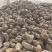 【精品】生地黄可视频看货一手货源量大从优，欢迎咨询