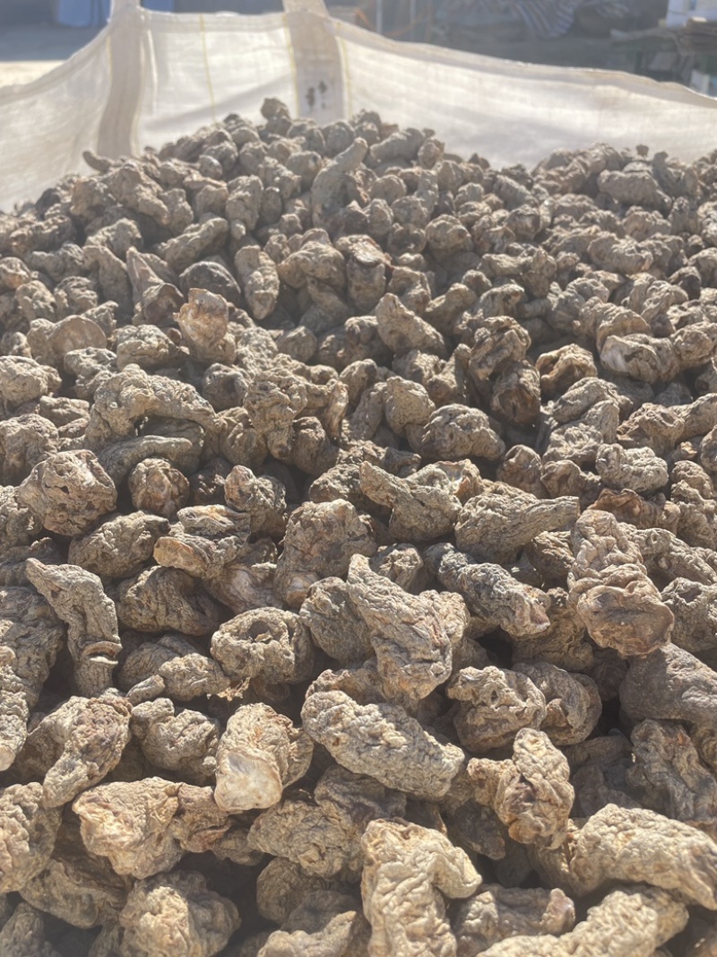 【精品】生地黄可视频看货一手货源量大从优，欢迎咨询