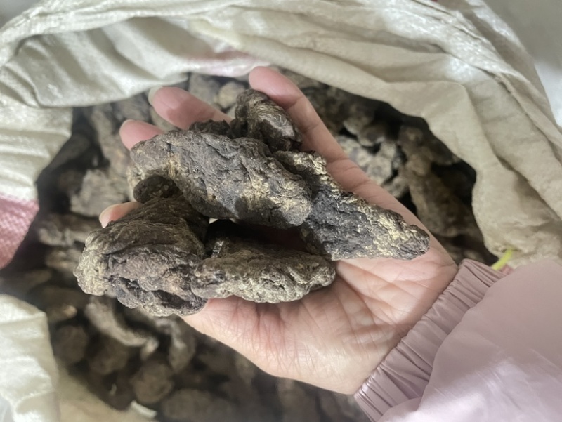 【精品】生地黄可视频看货一手货源量大从优，欢迎咨询