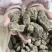 【精品】生地黄可视频看货一手货源量大从优，欢迎咨询