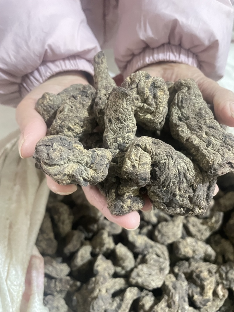 【精品】生地黄可视频看货一手货源量大从优，欢迎咨询
