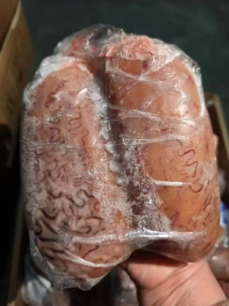 牛牛拼柜牛宝价格美丽大量有货欢迎来电