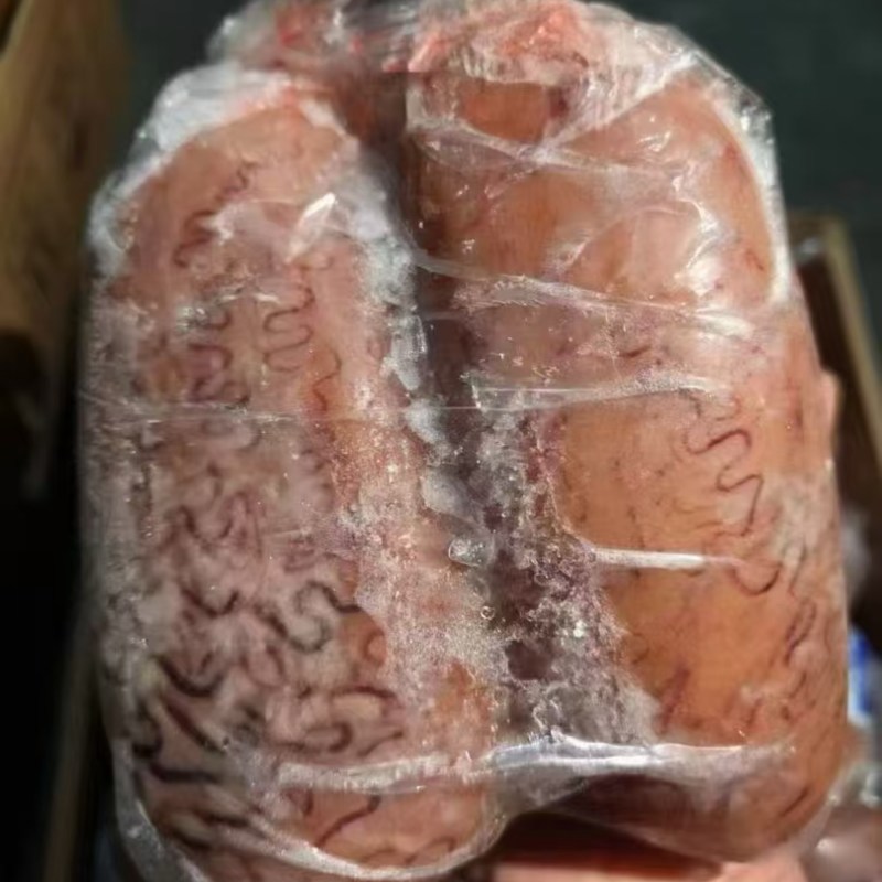牛牛拼柜牛宝价格美丽大量有货欢迎来电