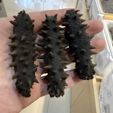 大连大火🔥拉缸盐半干腌渍海参批发肉好刺粗