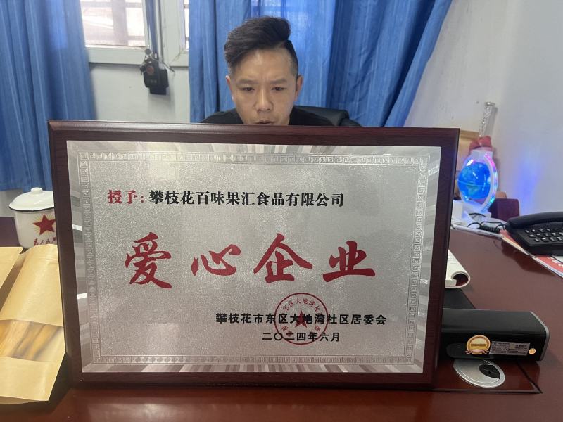 0添加无糖原味烘干柠檬片生产企业直发