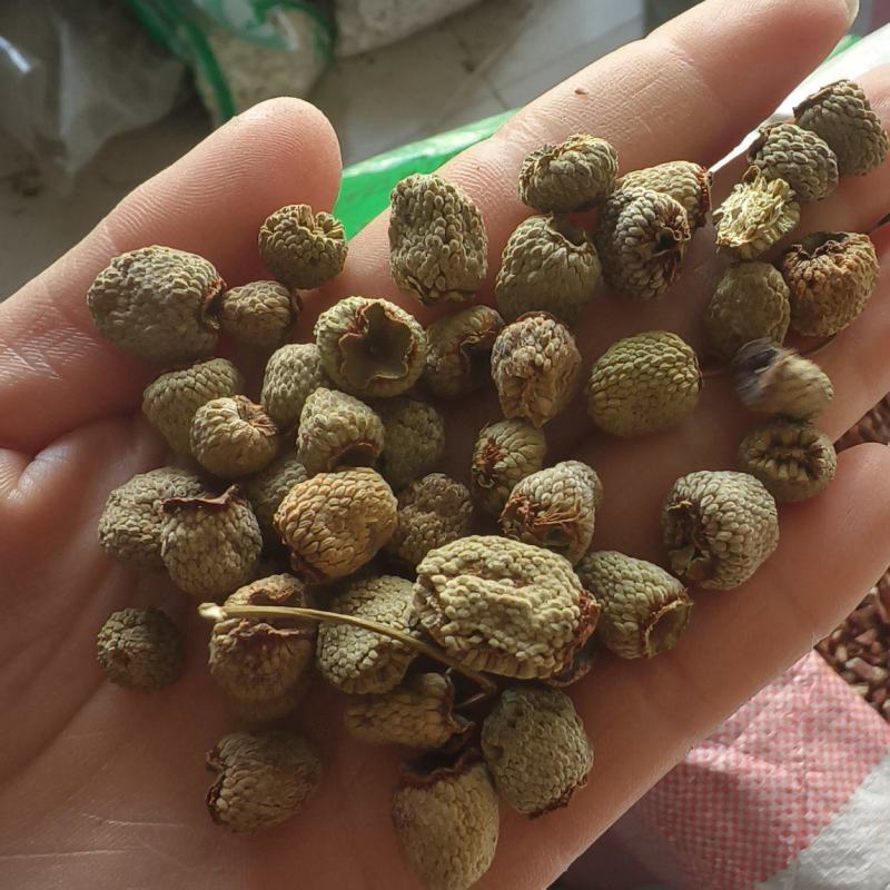 《覆盆子》精选覆盆子通货大粒货真价实量大从优