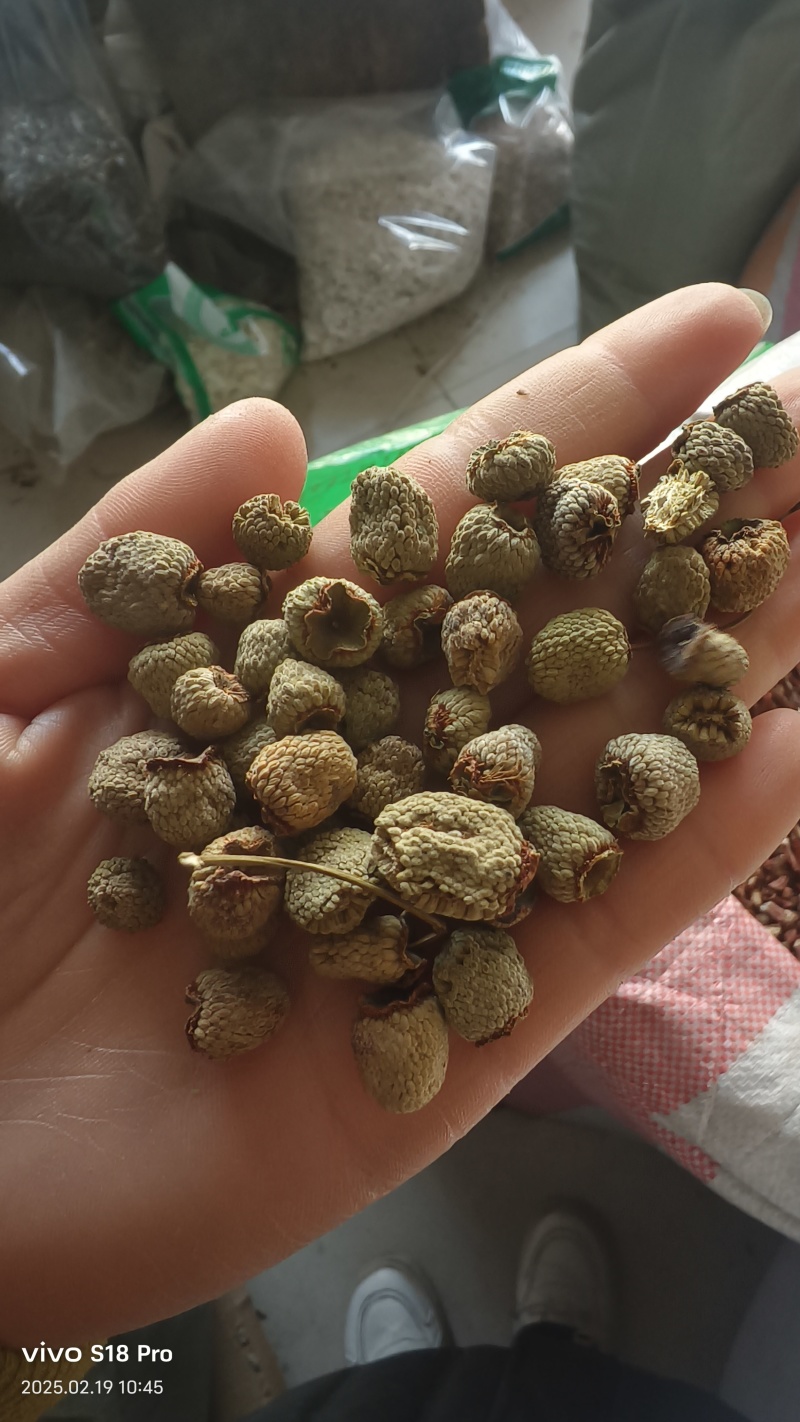 《覆盆子》精选覆盆子通货大粒货真价实量大从优