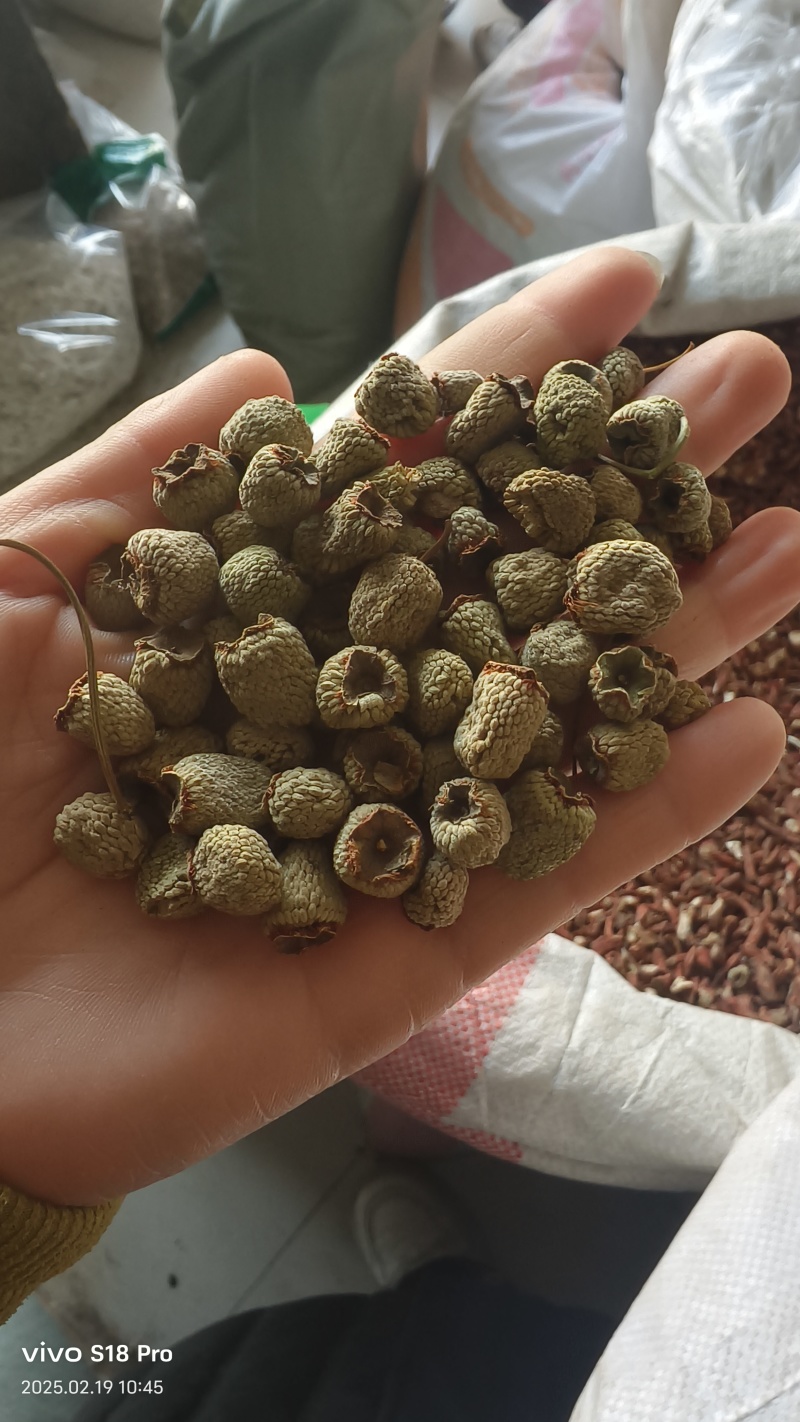 《覆盆子》精选覆盆子通货大粒货真价实量大从优