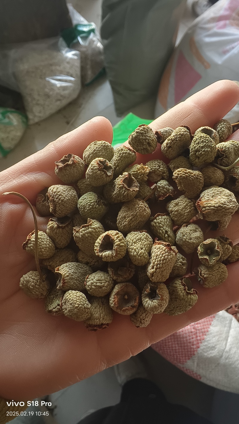 《覆盆子》精选覆盆子通货大粒货真价实量大从优