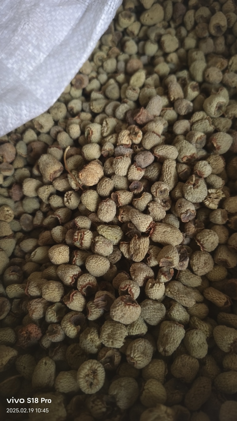 《覆盆子》精选覆盆子通货大粒货真价实量大从优