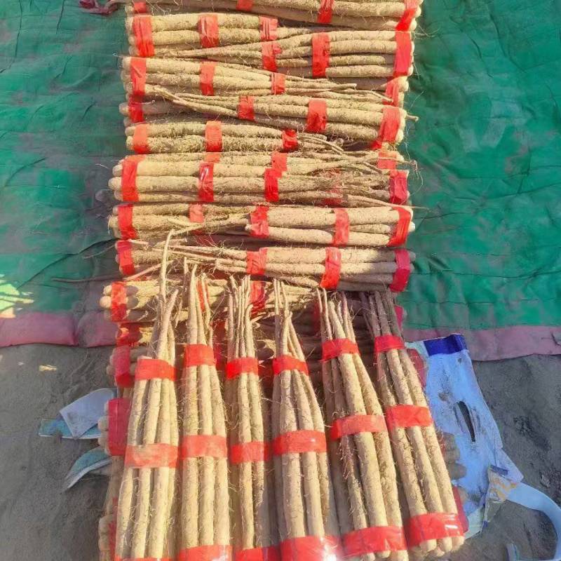 精品双棒山药河北双棒山药口感细腻产地直供量大从优