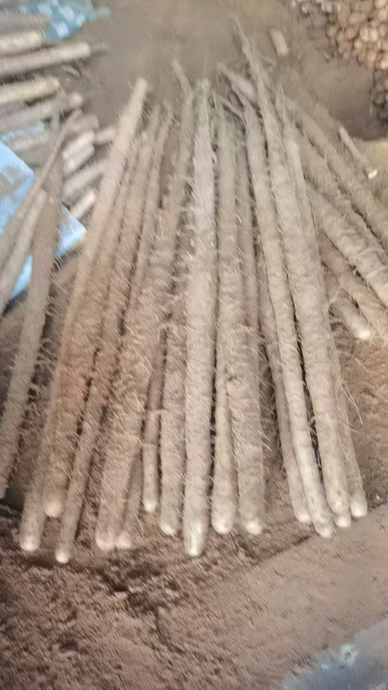 精品双棒山药河北双棒山药口感细腻产地直供量大从优
