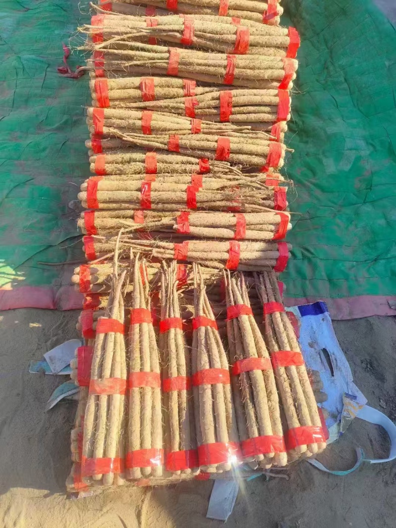 精品双棒山药河北双棒山药口感细腻产地直供量大从优