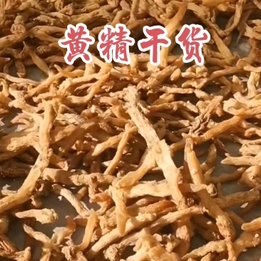 东北鸡头黄精干货，质量好
