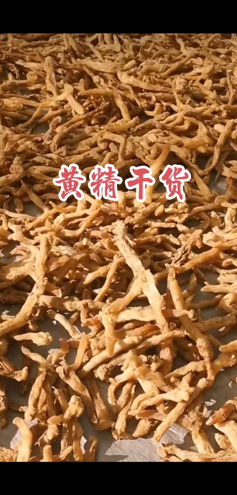 东北鸡头黄精干货，质量好