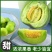 一件代发东北绿宝石香瓜