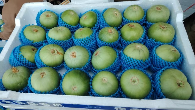 一件代发东北绿宝石香瓜