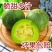 一件代发东北绿宝石香瓜