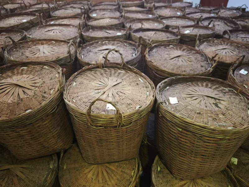 广西梧州六堡茶批发零售黑茶传统工艺制作