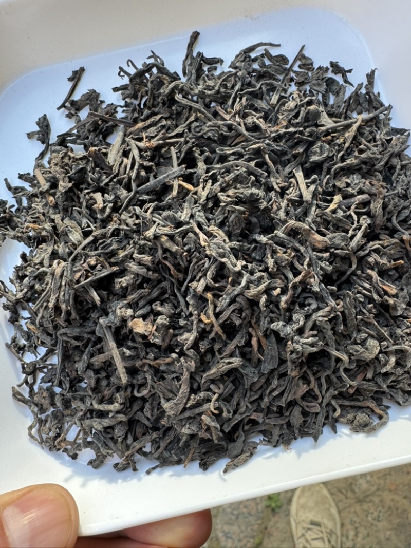 广西梧州六堡茶批发零售黑茶传统工艺制作