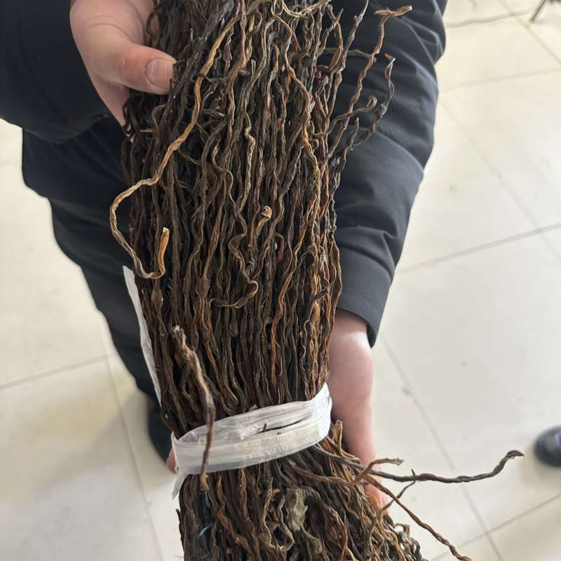 可走通货可走电商可以代发