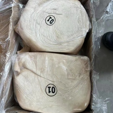01好大肚