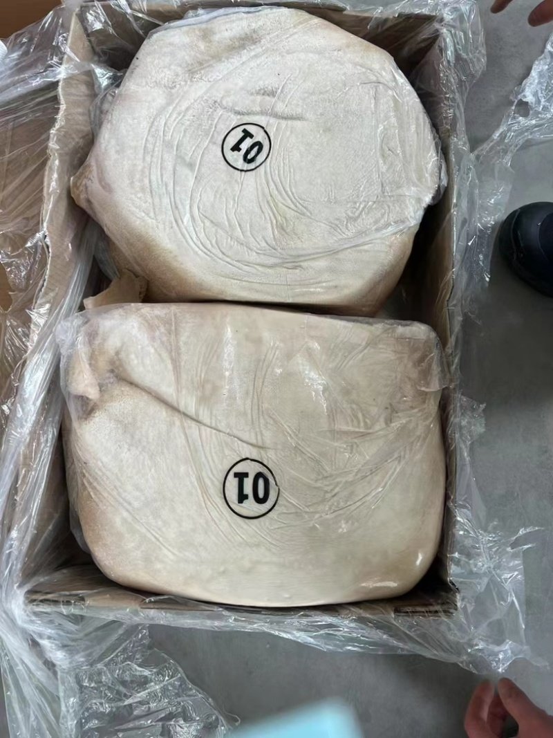 01好大肚