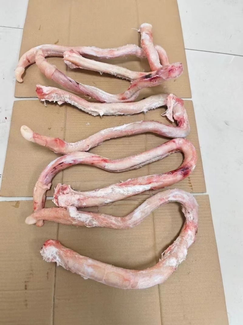 精修无根大牛鞭干净无油分四层大量有货