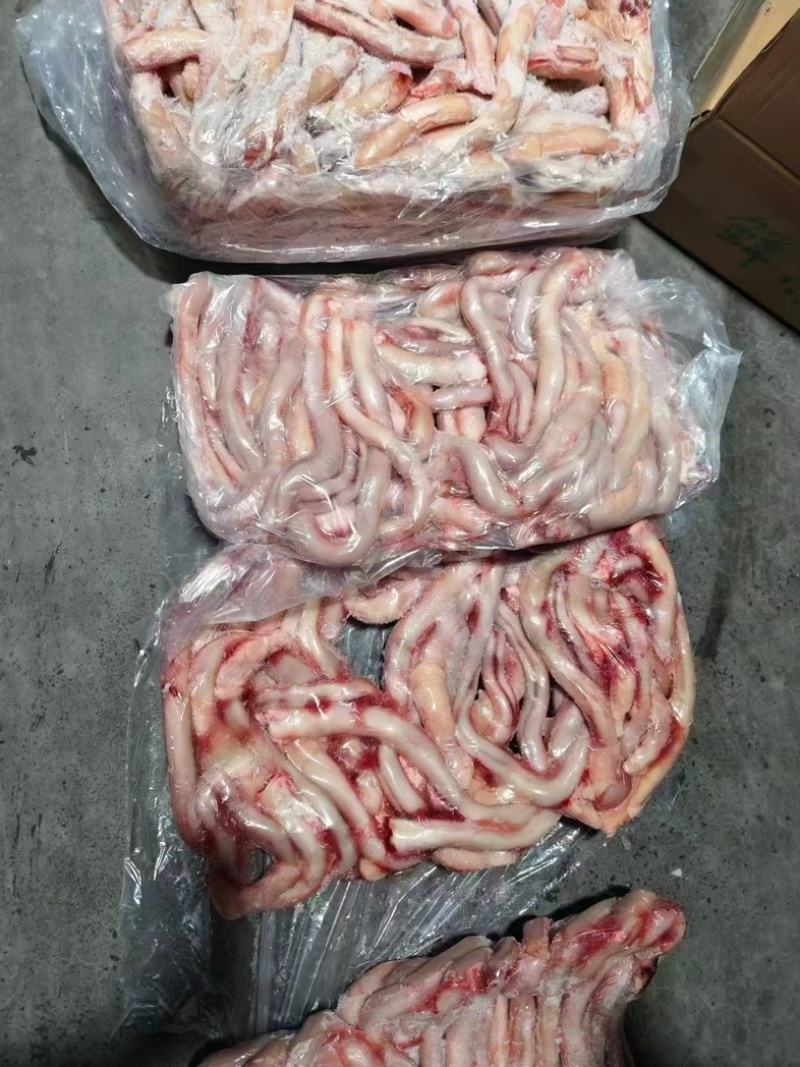 精修无根大牛鞭干净无油分四层大量有货